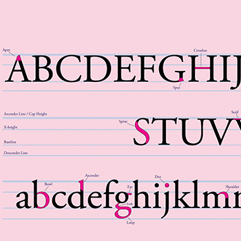 Typography Poster